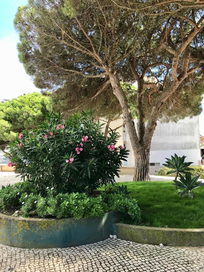 Pine - A 3m Da Ciclovia Guincho Appartement Cascais